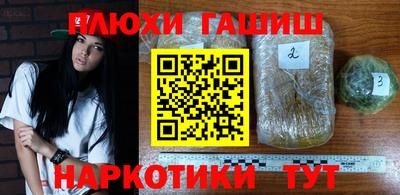 соль ск Ачхой-Мартан