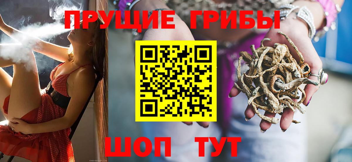 Галлюциногенные грибы GOLDEN TEACHER Новошахтинск