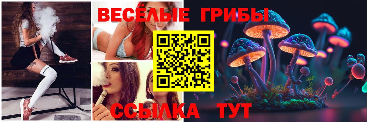 Галлюциногенные грибы MAGIC MUSHROOMS  Вход с VPN  Новошахтинск 
